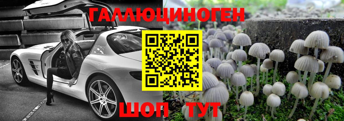 Кострома  Галлюциногенные грибы Psilocybine cubensis  Вход с VPN 